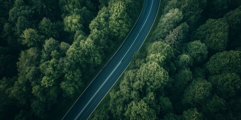 Aerial view of an asphalt road through an green forest, lush trees. AI generation.