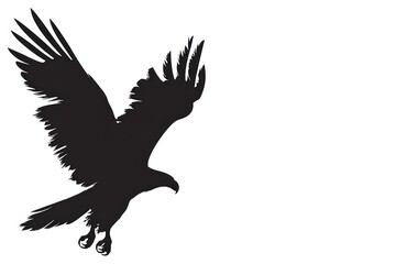 Fototapeta premium Silhouette blackbird agelaius vulture.