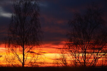 Sunset with the cloudy and colorful sky and trees in the park