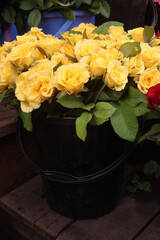 Yellow colored rose on shop