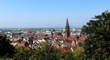 Obraz premium Das Freiburger Münster an einem sonnigen Herbsttag