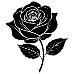 Obraz premium rose
