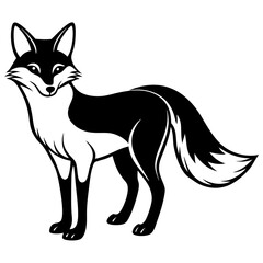 black fox illustration