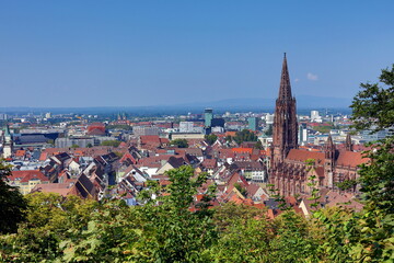 Naklejka premium Das Freiburger Münster an einem sonnigen Herbsttag