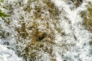 Close-up of cold water, very refreshing and sparkling