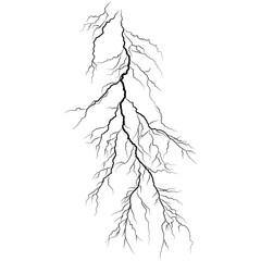 Lightning discharges, Lightning between clouds and ground, Strokes of cloud to ground lightning strike realistic contour, outline lines drawn on a white background