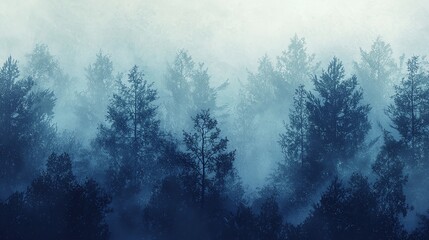 Obraz premium A misty forest with tall trees silhouetted against a blue sky.