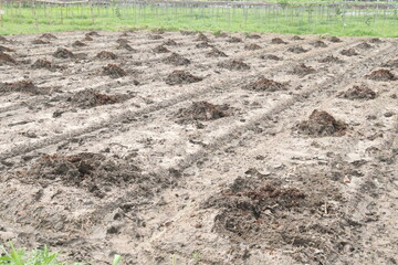 Seed bed preparation on field