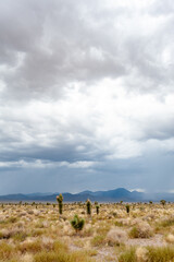 Dramatic desert scenery on the Extraterrestrial Highway near Area 51, Rachel, Nevada