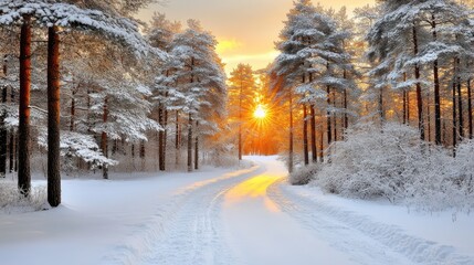 Explore a peaceful winter wonderland, featuring tall pine trees blanketed in snow, a winding path, and soft morning light filtering through a misty, blue sky