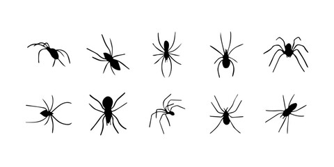 Spiders. Black bug spider silhouette. Scary Halloween animal arachnid, creepy dangerous insect, arachnophobia fear. Vector illustration