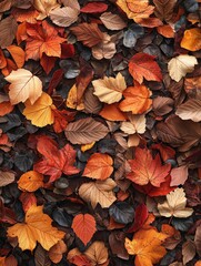 Fototapeta premium Autumn Leaves Pattern Colorful Fall Foliage Texture