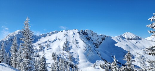 Alta Ski Resort in Utah