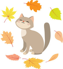  Autumn mood. Cute kitten surrounded by autumn leaves.  Autumn collection.