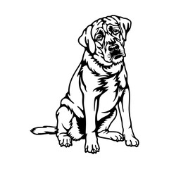 Labrador Dog Breed - Pet Vector Cut file, Dog Silhouette Stencil - Cricut file