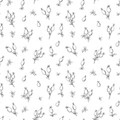 Floral seamless pattern with flowers, plants, berries.