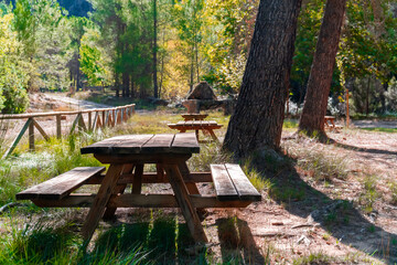 Wooden bench in a picnic area of a park, nobody