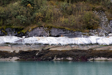 Rocky shoreline with layered striations surrounded by the natural wilderness of trees, bushes, and other flora types.
