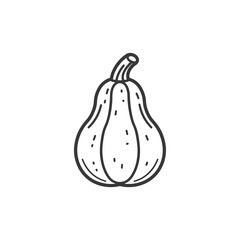 Line Drawing of a Butternut Squash