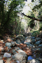 The path of the centaurs (after Cyclone Daniel) Portaria Pelion Greece