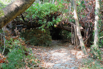 The path of the centaurs (after Cyclone Daniel) Portaria Pelion Greece