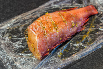 Marinated for baking fish red sea bass notothenia gutted without head with spices close-up on...