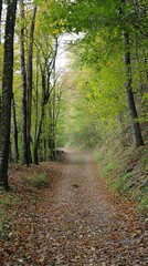 Obraz premium A tranquil forest path lined with golden leaves in autumn