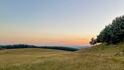 A serene summer landscape featuring a grassy meadow and forest under a pastel sunset sky, perfect for illustrating tranquility and nature themes