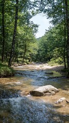 Obraz premium Serene river winding through lush forest under the bright summer sun