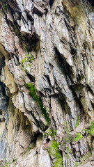 Rugged cliff face with patches of green moss illustrating natural erosion and geological formations, ideal for Earth Day themes