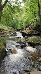 Fototapeta premium Tranquil river meanders through lush green forest in a serene natural landscape