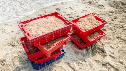Red crates filled with fresh shrimp on a sandy beach highlight sustainable seafood harvesting for regional coastal festivals