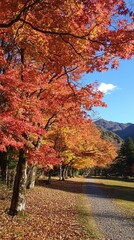 Naklejka premium Autumn leaves cascade in vibrant colors along a tranquil trail in a mountain park