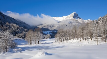 Fototapeta premium A serene winter landscape with snow-covered mountains and clear blue skies in the morning light