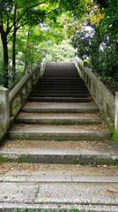 Stairway to tranquility nestled among the trees in a serene park on a quiet day