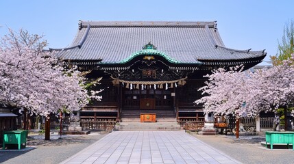 Fototapeta premium Serene cherry blossoms bloom beside an ancient temple under a clear blue sky