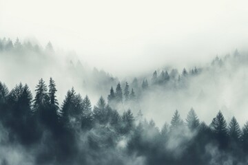 Fototapeta premium Fog abstract backgrounds outdoors woodland.