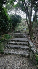 Winding stone steps lead through a tranquil forest path surrounded by nature's beauty