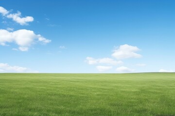 A grassy field with clear blue sky backgrounds outdoors horizon.