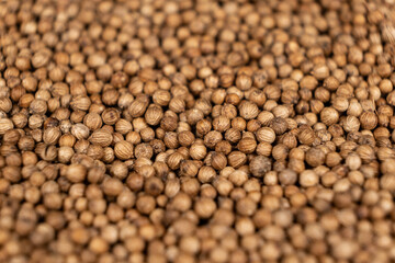 Macro Grains Coriander Natural Spice