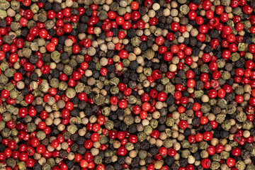 A mixture of different peppercorns white, black, red and green peppers spices.
