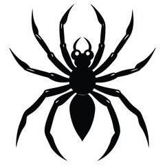 spider webs vector silhouette