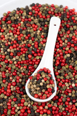 Different varieties of peppercorns, red, green, black and white peppers in a spoon