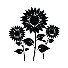 Fototapeta premium Sunflowers silhouette 