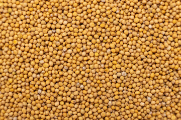 Yellow Dry Mustard Seed Background, Natural Organic Seasoning, Top View.