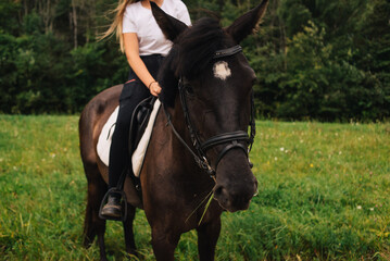 A woman sitting bareback on a dark horse, only her legs and the horse are visible. The scene takes place in a summer field, conveying a sense of freedom and nature.