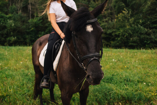 A woman sitting bareback on a dark horse, only her legs and the horse are visible. The scene takes place in a summer field, conveying a sense of freedom and nature.