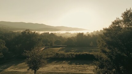 Serene Morning Mist Over Rolling Hills