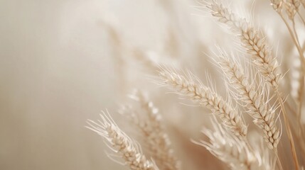 Solid muted ivory background with a faint wheat icon.