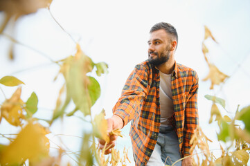 Farmer, agronomist in the soybean field. Controlling the growth of agricultural crops
